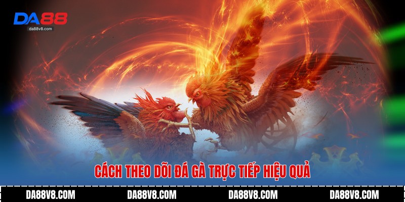 Đá Gà Trực Tiếp - Sức Hút Không Thể Thay Thế Từ Da88 3 Cách theo dõi đá gà trực tiếp hiệu quả